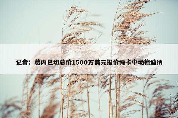 记者：费内巴切总价1500万美元报价博卡中场梅迪纳