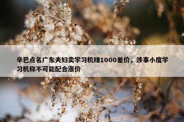 辛巴点名广东夫妇卖学习机赚1000差价，涉事小度学习机称不可能配合涨价