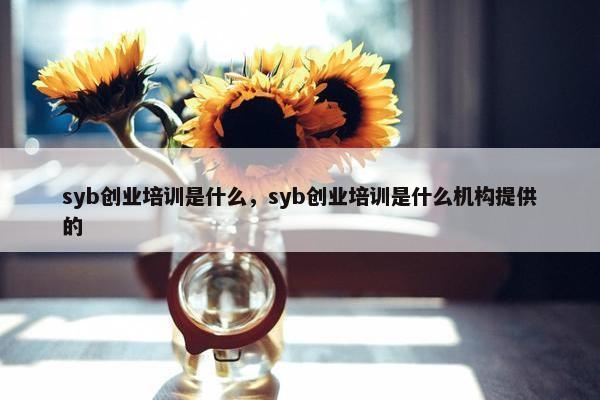 syb创业培训是什么，syb创业培训是什么机构提供的