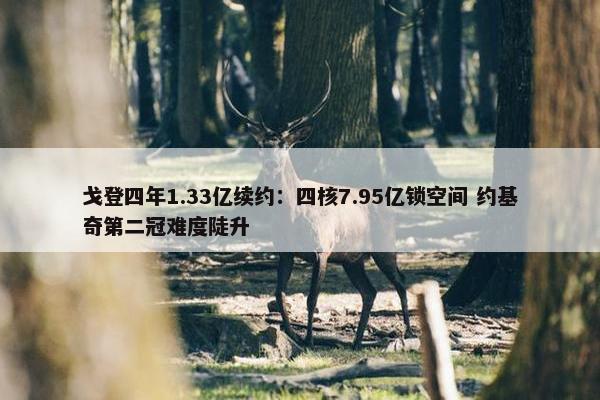 戈登四年1.33亿续约：四核7.95亿锁空间 约基奇第二冠难度陡升