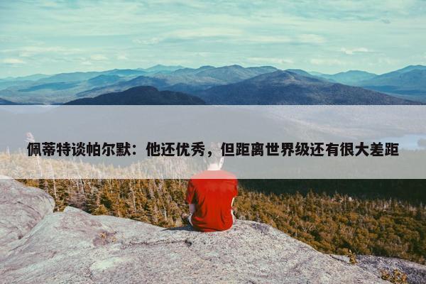 佩蒂特谈帕尔默：他还优秀，但距离世界级还有很大差距