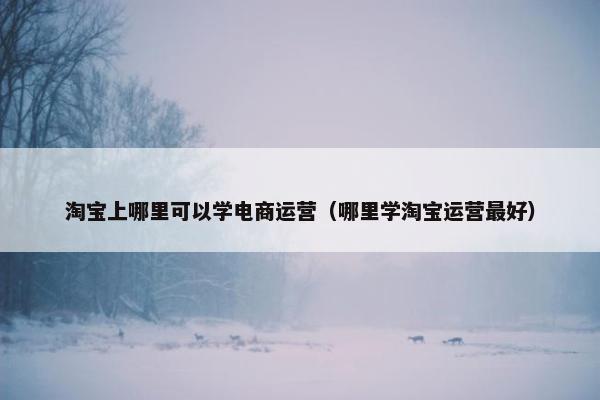 淘宝上哪里可以学电商运营（哪里学淘宝运营最好）