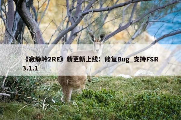 《寂静岭2RE》新更新上线：修复Bug_支持FSR3.1.1