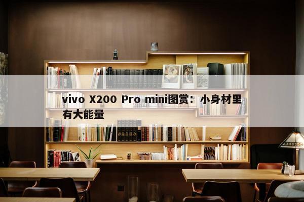 vivo X200 Pro mini图赏：小身材里有大能量