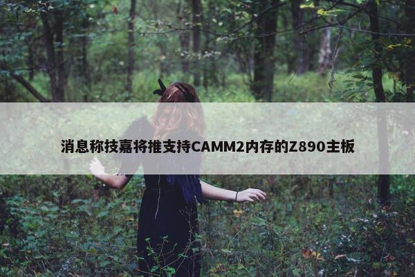 消息称技嘉将推支持CAMM2内存的Z890主板