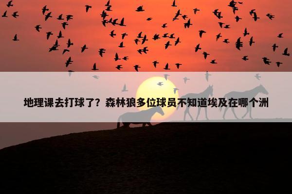 地理课去打球了？森林狼多位球员不知道埃及在哪个洲