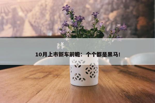 10月上市新车前瞻：个个都是黑马！