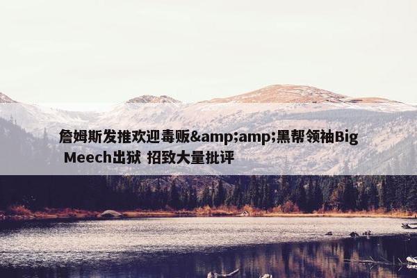 詹姆斯发推欢迎毒贩&amp;黑帮领袖Big Meech出狱 招致大量批评