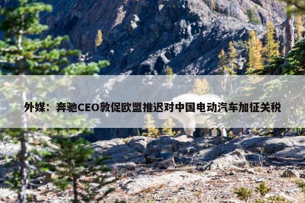 外媒：奔驰CEO敦促欧盟推迟对中国电动汽车加征关税