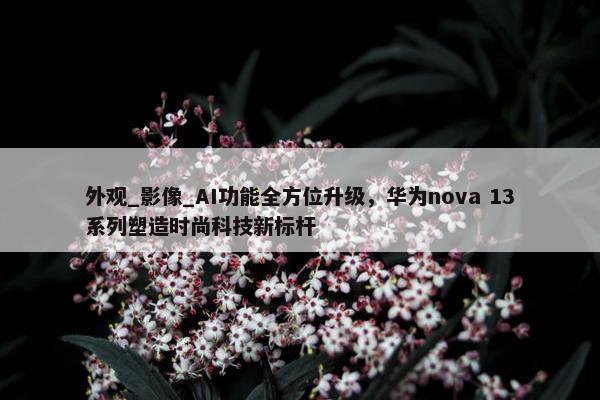 外观_影像_AI功能全方位升级，华为nova 13系列塑造时尚科技新标杆