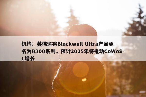 机构：英伟达将Blackwell Ultra产品更名为B300系列，预计2025年将推动CoWoS-L增长