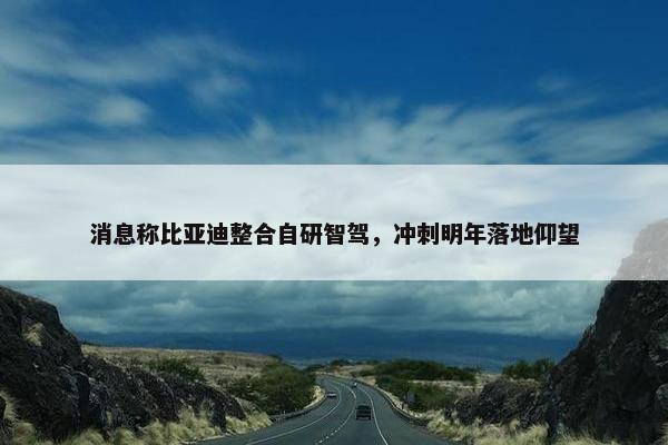 消息称比亚迪整合自研智驾，冲刺明年落地仰望