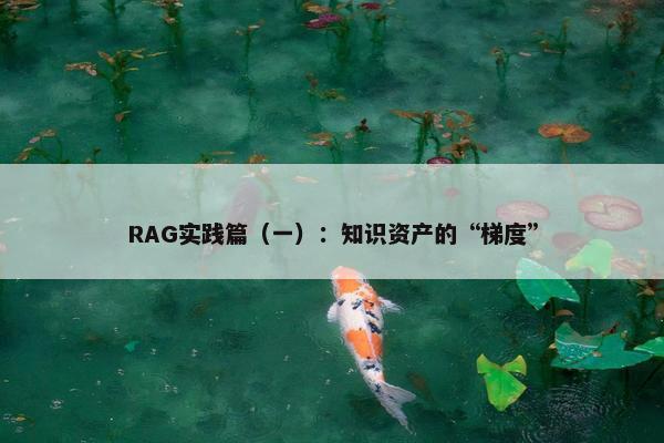 RAG实践篇（一）：知识资产的“梯度”