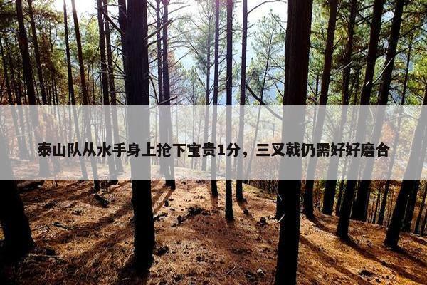 泰山队从水手身上抢下宝贵1分，三叉戟仍需好好磨合