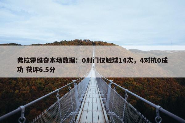 弗拉霍维奇本场数据：0射门仅触球14次，4对抗0成功 获评6.5分