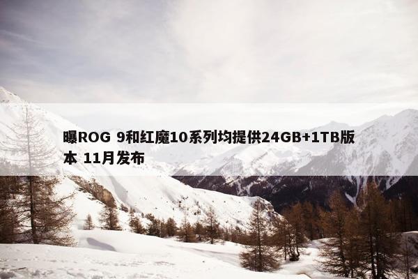 曝ROG 9和红魔10系列均提供24GB+1TB版本 11月发布