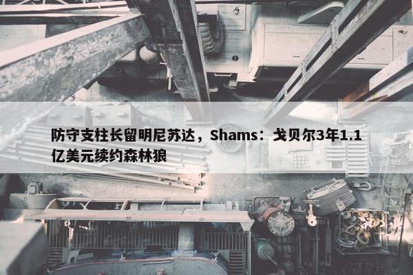 防守支柱长留明尼苏达，Shams：戈贝尔3年1.1亿美元续约森林狼