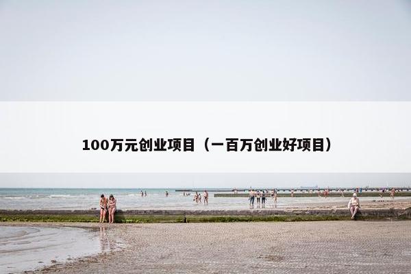 100万元创业项目（一百万创业好项目）