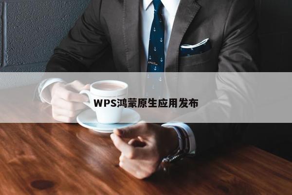 WPS鸿蒙原生应用发布