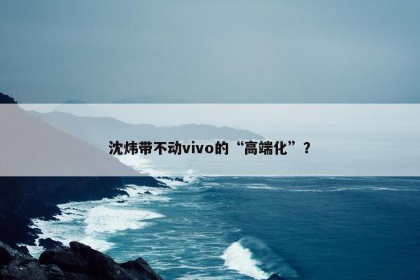 沈炜带不动vivo的“高端化”？