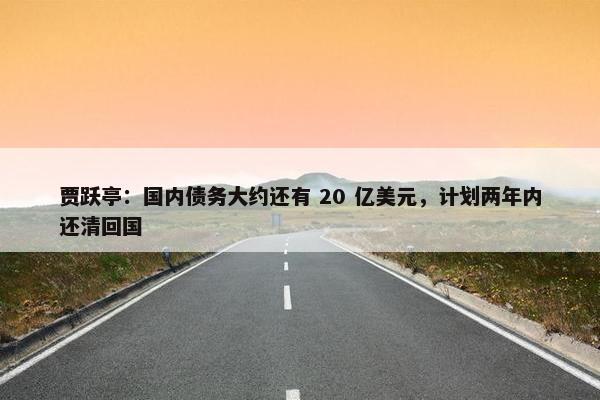 贾跃亭：国内债务大约还有 20 亿美元，计划两年内还清回国