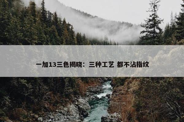 一加13三色揭晓：三种工艺 都不沾指纹