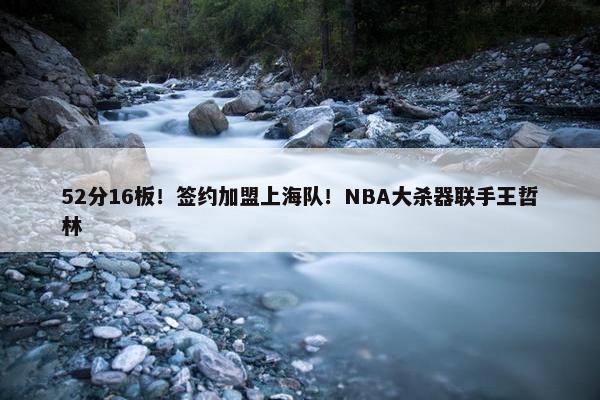 52分16板！签约加盟上海队！NBA大杀器联手王哲林