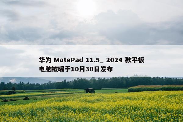 华为 MatePad 11.5_ 2024 款平板电脑被曝于10月30日发布