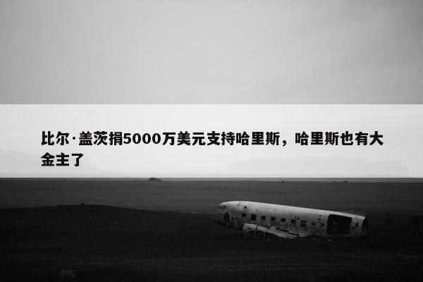 比尔·盖茨捐5000万美元支持哈里斯，哈里斯也有大金主了