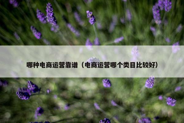 哪种电商运营靠谱（电商运营哪个类目比较好）