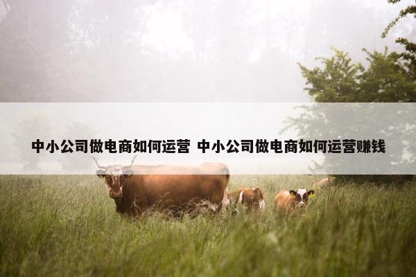 中小公司做电商如何运营 中小公司做电商如何运营赚钱