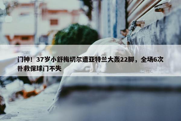 门神！37岁小舒梅切尔遭亚特兰大轰22脚，全场6次扑救保球门不失