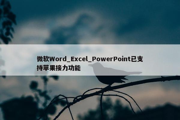 微软Word_Excel_PowerPoint已支持苹果接力功能