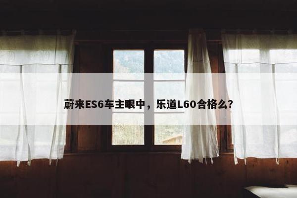 蔚来ES6车主眼中，乐道L60合格么？