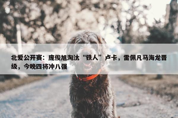 北爱公开赛：庞俊旭淘汰“铁人”卢卡，雷佩凡马海龙晋级，今晚四将冲八强