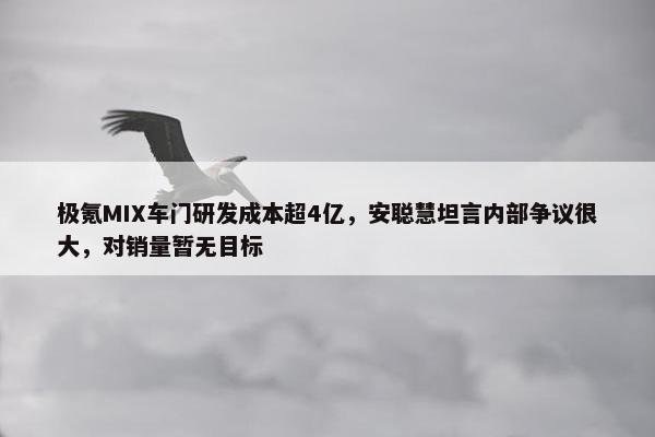 极氪MIX车门研发成本超4亿，安聪慧坦言内部争议很大，对销量暂无目标