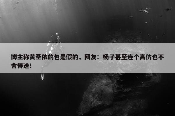 博主称黄圣依的包是假的，网友：杨子甚至连个高仿也不舍得送！