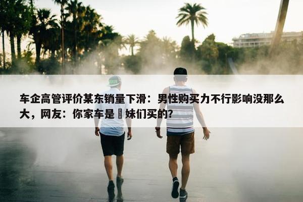 车企高管评价某东销量下滑：男性购买力不行影响没那么大，网友：你家车是媎妹们买的？