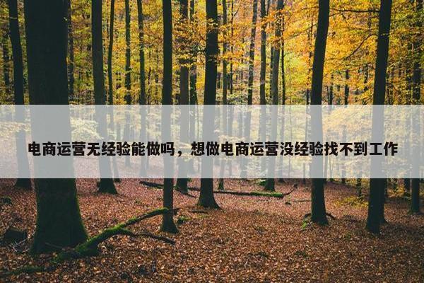 电商运营无经验能做吗，想做电商运营没经验找不到工作