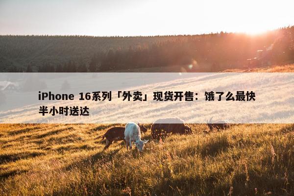 iPhone 16系列「外卖」现货开售：饿了么最快半小时送达