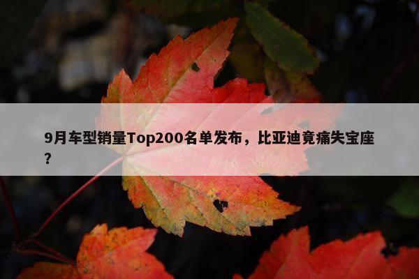 9月车型销量Top200名单发布，比亚迪竟痛失宝座？