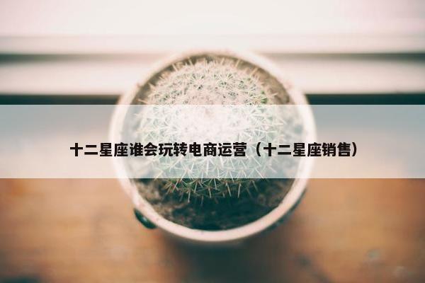 十二星座谁会玩转电商运营（十二星座销售）