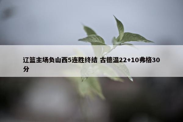 辽篮主场负山西5连胜终结 古德温22+10弗格30分