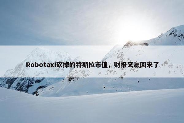 Robotaxi砍掉的特斯拉市值，财报又赢回来了