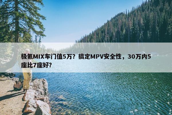 极氪MIX车门值5万？搞定MPV安全性，30万内5座比7座好？