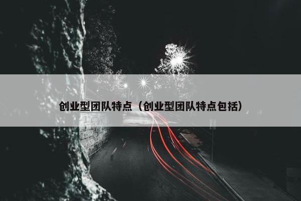 创业型团队特点（创业型团队特点包括）