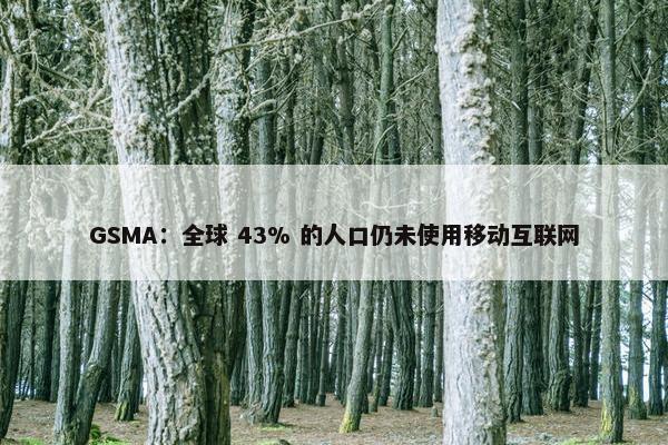 GSMA：全球 43% 的人口仍未使用移动互联网