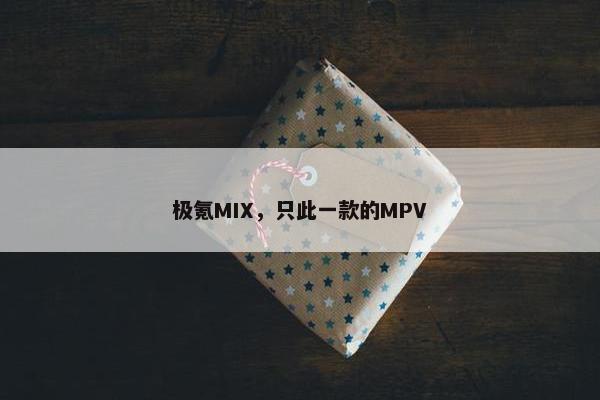 极氪MIX，只此一款的MPV