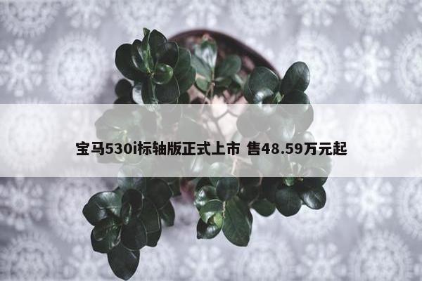 宝马530i标轴版正式上市 售48.59万元起