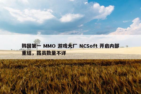 韩国第一 MMO 游戏大厂 NCSoft 开启内部重组，裁员数量不详